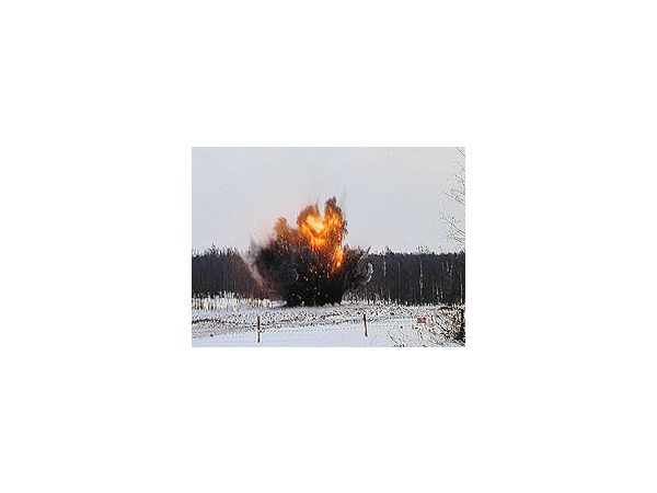 Фото Дмитрия Полякова